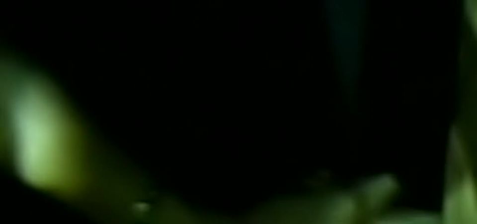 adult xxx clip 14 Dance Party, irish femdom on latina girls porn 