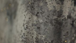 The_TAO_s_Rhapsody-9