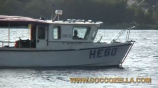 Coccozella-SiteRIP 0490-igor-beach-picnic-1-0
