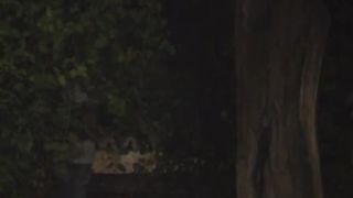 Night public handjob and blowjob Voyeur-0