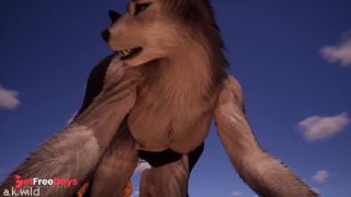 [GetFreeDays.com] Wolf Furries FuckingLuna x Rezir018Wildlife3D Adult Film July 2023-4