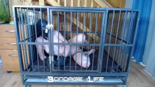 xxx clip 40 rubber fetish fetish porn | Cage Time With Clamps | cage-7