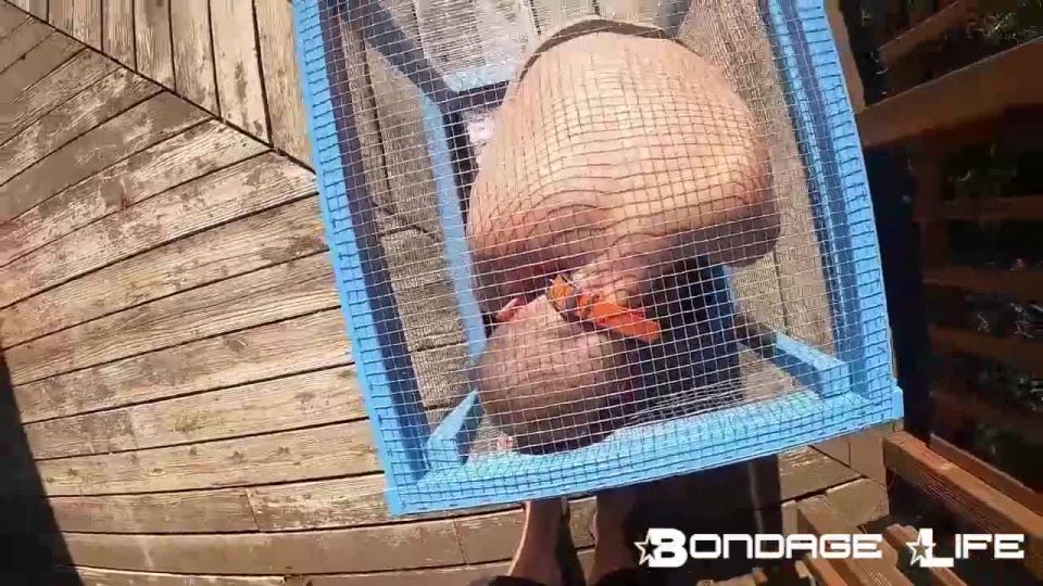 porn clip 11 Bondage Life – Tiny Cage Rachel Greyhound, ultimate fetish on fetish porn 