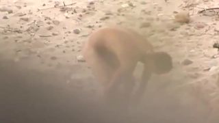 She ll probably get sand in her vagina Nudism!-7