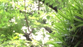Reducing Mosaic JUL-165 四六時中、娘婿のデカチ○ポが欲しくて堪らない義母の誘い 織田真子-7
