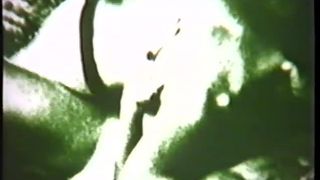 Sip the Wine (1976)(Vintage)-0