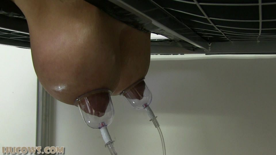 online porn clip 12 Hucows – Katie – longer nipples - tits torture - femdom porn smoking fetish xxx
