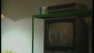 7271 Os Anos Dourados Da Sacanagem-1