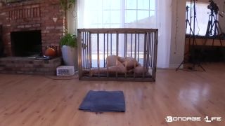 adult xxx clip 39 BondageLife - Greyhound Head Shave (BrutalMaster Edition) - 10/28/2019, my little pony bdsm porn on bdsm porn -5