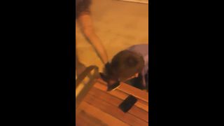 free porn video 31 megan jones femdom Chinese Femdom - Public Humiliation and Human Toilet, public on public-9