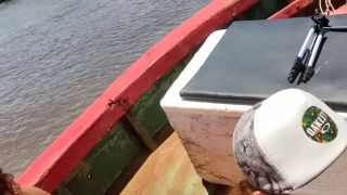 Puta ORGIAS COM PESCADORES EM ALTO MAR NOS DUAS FUDEMOS COM MUITOS CARA-2