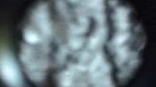 porn clip 34 Galician Day 7 - public sex - public -3