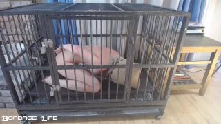 adult video clip 14 lesbian smoking fetish fetish porn | Bondage Life – Cage Time With Greyhound – Rachel Greyhound | fetish-1