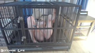 adult video clip 14 lesbian smoking fetish fetish porn | Bondage Life – Cage Time With Greyhound – Rachel Greyhound | fetish-7
