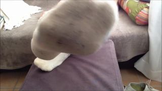 online porn video 6 gay fetish xxx Smell my stinky socks and sweaty feet, foot worship on fetish porn-0