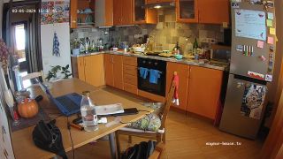 Flamy Nika 24 03 01 ariela and will kitchen sex cam1 720p-9