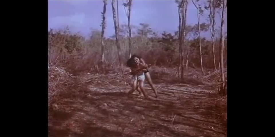 cabacafi046