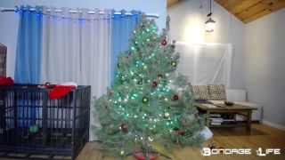xxx video 6 Bondage Life – Christmas With Greyhound | bondage | fetish porn facesitting fetish-8