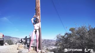 Outside In Chastity – 12.24.18 - greyhound - bdsm porn femdom handjob hd-5