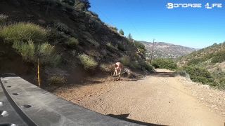 clip 41 BondageLife – Greyhound The Rock Collector – Rachel Greyhound | rachel greyhound | femdom porn butt crush fetish-8