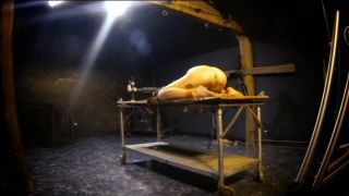 free adult clip 37 primal fetish xxx bdsm porn | ConoFirstCaning | fetish-9