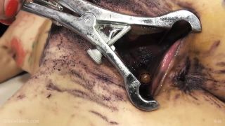 adult video clip 8 Rgb Queensnake 1 280 | fetish | fetish porn femdom ponyplay-4