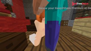 Sexy Nami Animations Hentai Minecraft Jenny xhatihentai gameplay-6