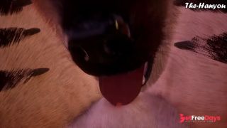 [GetFreeDays.com] Wild Life 4K - Knotty Fox Porn Clip April 2023-8