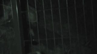online porn clip 37 Public Sex Night Watching 138 on public -3