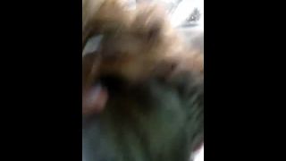 video 4 free hardcore porn video movie - amateur hardcore - hardcore porn-5