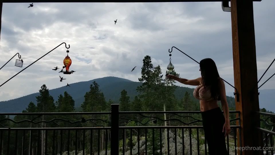 Heather Harmon Heatherharmon - this isnt the discovery channel but dang ive never seen this many hummingbirds ive be 02-08-2021