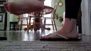 Fetish porn Sloans Paws aka sloan_paws - 11-13-2020 OnlyFans Video - In denial about winter coming so I brought these babies back video Sloans Paws-0