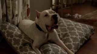 Lili Simmons - Ray Donovan s05e09 (2017) HD 1080p - (Celebrity porn)-0
