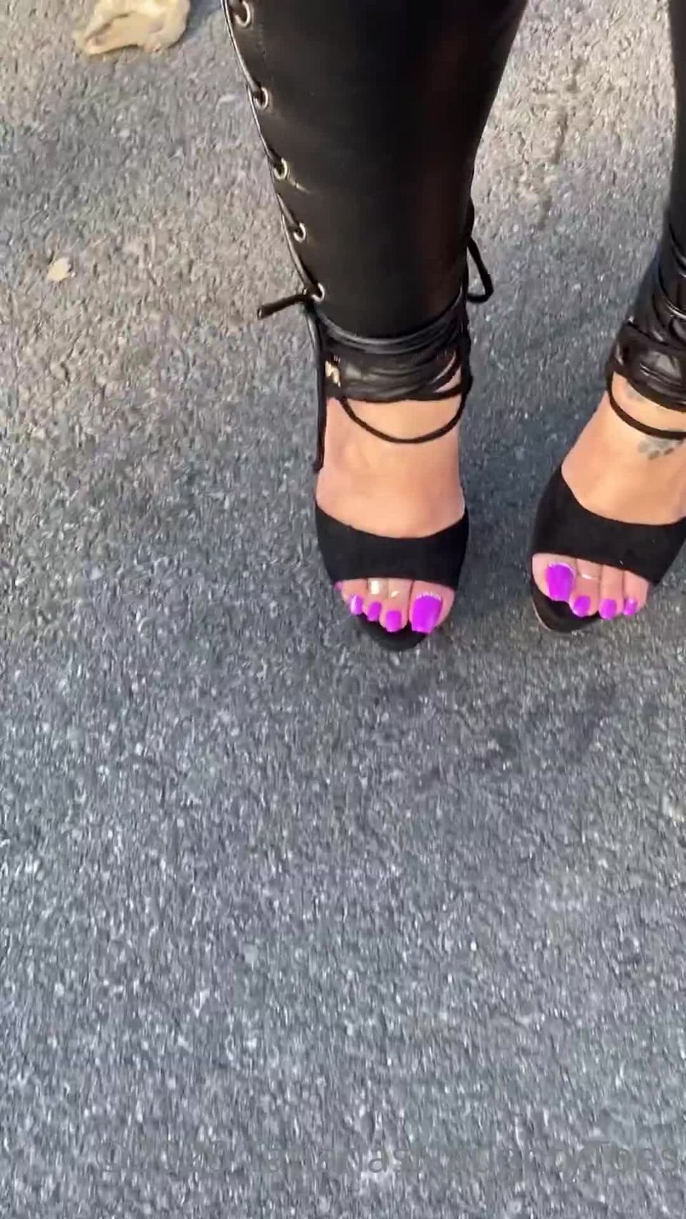 TATIANA - tatianasnaughtytoes () Tatianasnaughtytoes - new purple pedicure shiny leggings walking walking smoking in my inch 18-09-2020