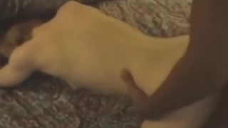 Real Homemade Interracial is0909065-6