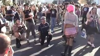 Coccozella-SiteRIP 0042-iota-folsom2004-6-4