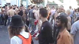 Coccozella-SiteRIP 0042-iota-folsom2004-6-6