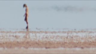 Mia Wasikowska – Tracks (2013) HD 1080p - [Celebrity porn]-7
