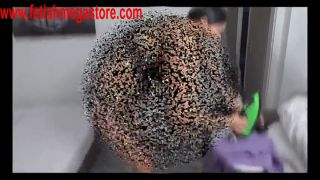 Compilation trampled slaves-7