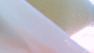 l2163-4