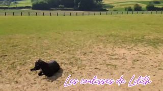 Public Petite balade sur mes terres natales-3