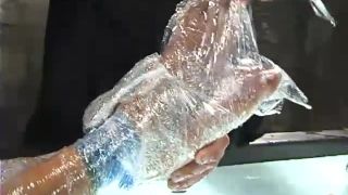 porn video 43 Nadia Styles Nadia Styles (640), bdsm forced porn on bdsm porn -7