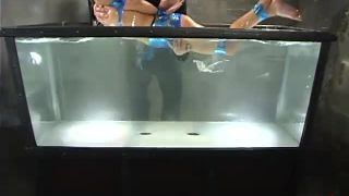 porn video 43 Nadia Styles Nadia Styles (640), bdsm forced porn on bdsm porn -8