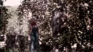 Swedish Erotica 114: The Moonshiner (1978)!!!-2