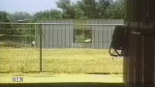 online clip 48 Pet girls training | fetish | femdom porn maxi pad fetish-3