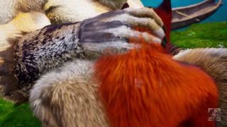 Monster Cock Minotaur fuck furry Foxy Girl and Tiger Girl in the rain - romantic fun-1