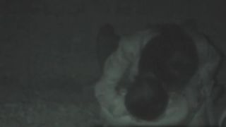 free porn clip 45 Norwegian couple public sex nude,  on public -3