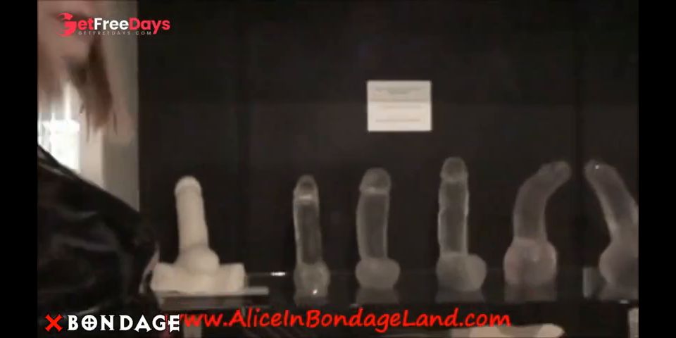 [XBondage.Porn] Alice In Bondage Land - Erotic Heritage Museum Part 1 CFNM Tour