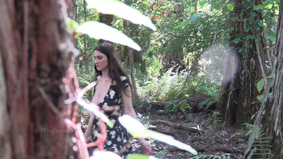 TheGorillaGrip - lost girl in woods 4k (id 3085873)