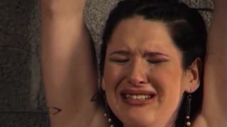 adult video 10 Elite Club Case 01 on bdsm porn solo bdsm porn-3